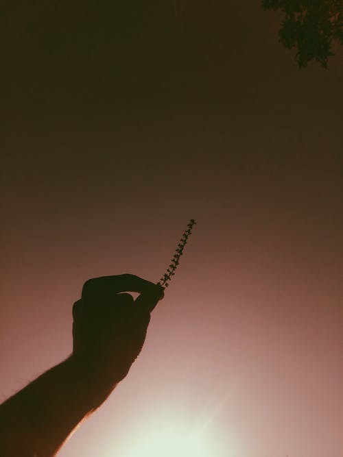 神探狄仁杰經(jīng)典臺詞