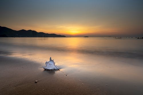 觀(guān)察日記范文集合九篇