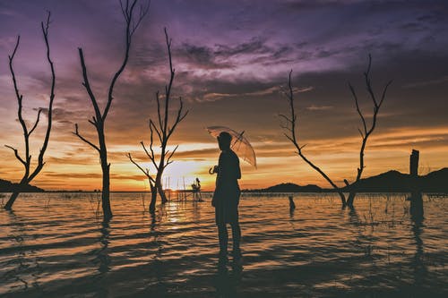 愛情是寂寥人生中的一場(chǎng)盛宴人生哲理