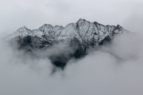 重生血狼傳奇小說程宇何雨晴無廣告閱讀
