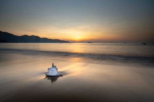 邪瞳圣君熱血小說(shuō)主角夜凌皓無(wú)彈窗閱讀