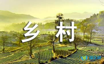 鄉(xiāng)村無奈的過年