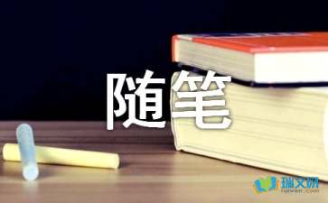 傷口（隨筆）
