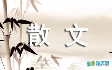 手心里的燦爛-隨筆散文