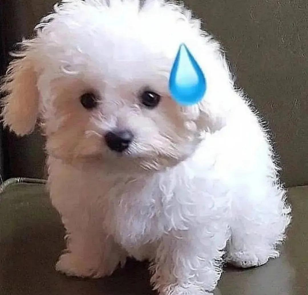 笑話二則！銷售經(jīng)理激勵員工再創(chuàng)佳績，小王說我已達巔峰