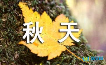 描寫(xiě)秋天的落葉隨筆美文