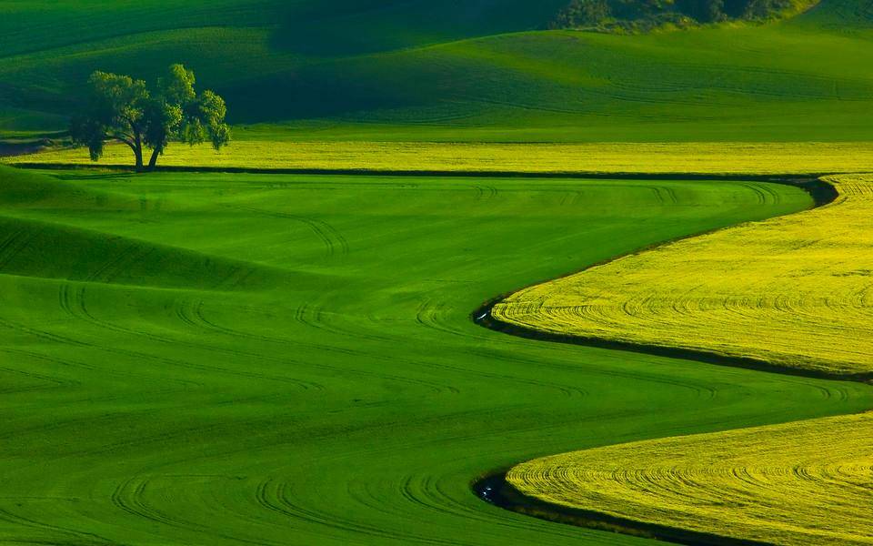 新媒體圈層是什么意思（分享新媒體背后的社群圈層化）