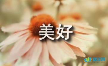 美好中秋隨筆