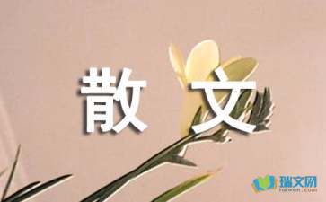 沖出困境散文隨筆