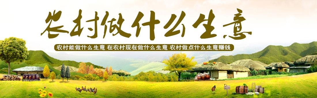 現在農村自主創(chuàng  )業(yè)做什么好？