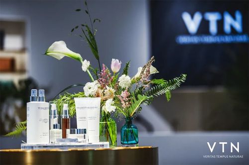 VTN是做什么的？