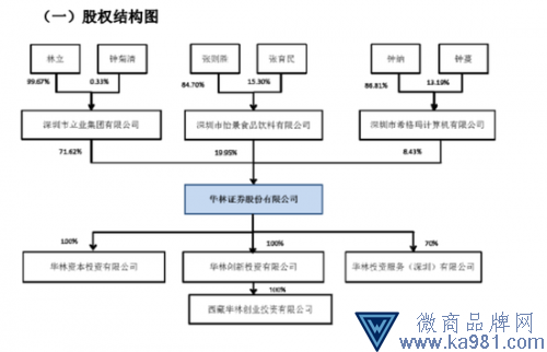 （華林證券股權(quán)結(jié)構(gòu)。圖片來源：華林證券招股書）