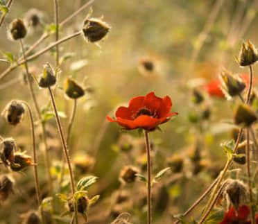 qq空間很有深度的經典說說大全（54條）