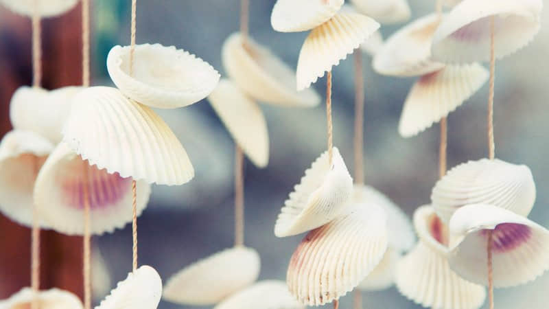 激勵(lì)自己努力賺錢的經(jīng)典句子(53條) 激勵(lì)自己努力賺錢的經(jīng)典句子(53條)