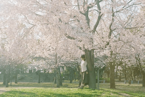 朋友圈獨(dú)一無(wú)二的經(jīng)典說(shuō)說(shuō)大全（60條）