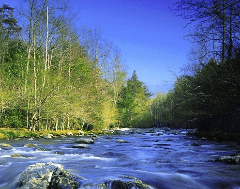 關(guān)于青春的經(jīng)典說說大全 關(guān)于青春的經(jīng)典說說大全