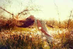 適合發(fā)朋友圈致自己的一句經(jīng)典語錄(58條) 適合發(fā)朋友圈致自己的一句經(jīng)典語錄(58條)