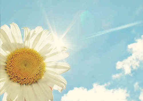 2019經(jīng)典說說傷感現(xiàn)實(shí)（73條）