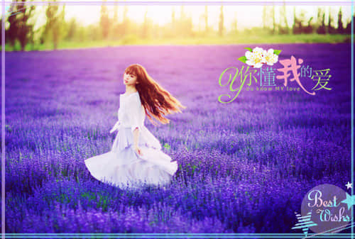 經(jīng)典語(yǔ)錄2019：所有遺憾都是為未來(lái)的幸福做鋪墊