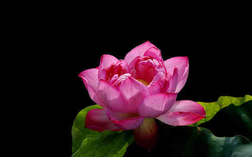 2019年最新人生哲理的經(jīng)典句子大全（58條）