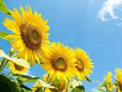 唯美走心的經典說說(80條) 唯美走心的經典說說(80條)