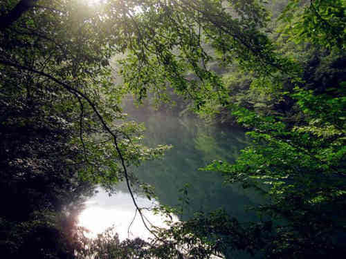 2019年適合發(fā)朋友圈很現(xiàn)實(shí)的經(jīng)典說說(84條) 2019年適合發(fā)朋友圈很現(xiàn)實(shí)的經(jīng)典說說(84條)