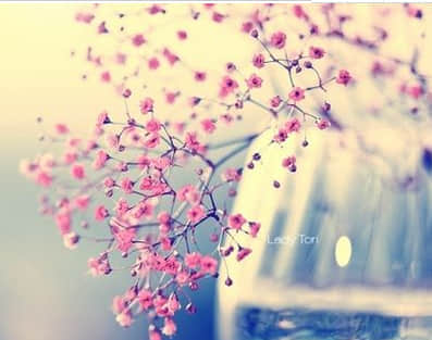 治愈系經(jīng)典說說致自己(95條) 治愈系經(jīng)典說說致自己(95條)