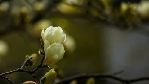 最新適合發(fā)說說的經(jīng)典句子(56條) 最新適合發(fā)說說的經(jīng)典句子(56條)