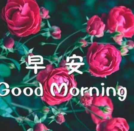 適合發(fā)空間的說說 很經(jīng)典的句子（85條）