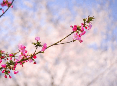 感到憂(yōu)郁的空間經(jīng)典說(shuō)說(shuō)（71條）