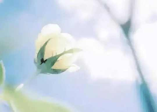 關于考試幽默的經(jīng)典說說（50條）