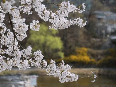 2019年朋友圈深入人心的經(jīng)典說(shuō)說(shuō)（63條）
