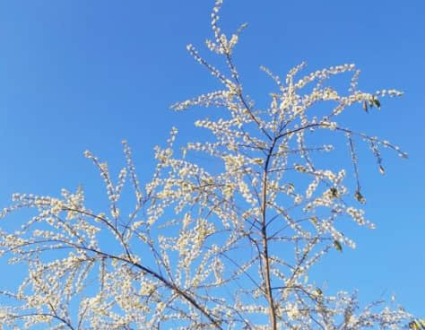 有哲理內涵的經(jīng)典說(shuō)說(shuō)（47條）