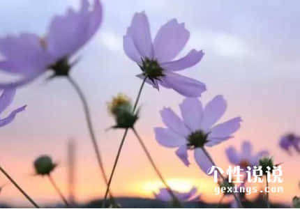 鼓勵自己正能量的經(jīng)典說說（58條）