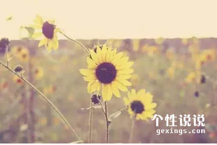 關(guān)于人生成長心靈雞湯的經(jīng)典說說