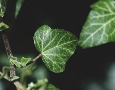 情緒低迷時看的經(jīng)典說說（52條）