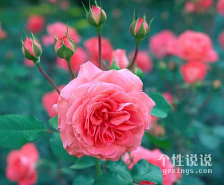 觸動(dòng)心弦簡(jiǎn)單的經(jīng)典說說（54條）