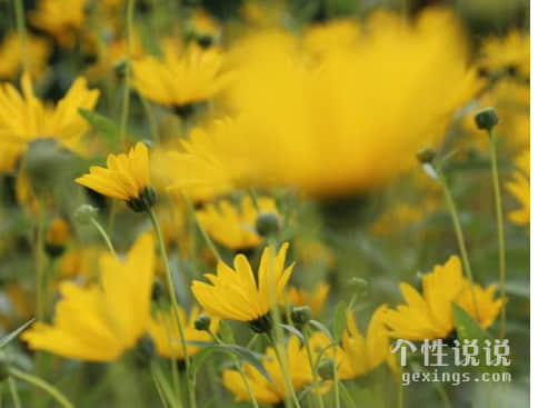 深入人心有內(nèi)涵的經(jīng)典說說(55條) 深入人心有內(nèi)涵的經(jīng)典說說(55條)