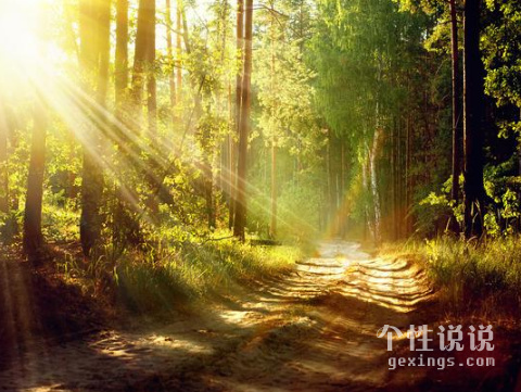 關(guān)于生活有內(nèi)涵哲理的經(jīng)典說說（50條）