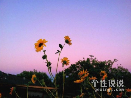 心靈雞湯勵(lì)志的經(jīng)典說說（55條）