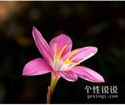 有道理有深度的經(jīng)典說說（44條）