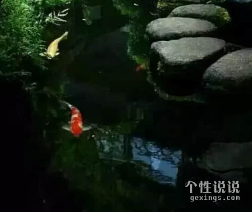 qq空間穿透人心的經(jīng)典說(shuō)說(shuō)（57條）