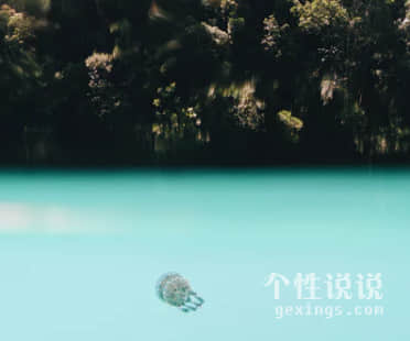 表達抑郁的經(jīng)典句子:再回來陪我喝一杯烈酒走走舊路 還欠我一句… 表達抑郁的經(jīng)典句子:再回來陪我喝一杯烈酒走走舊路 還欠我一句…