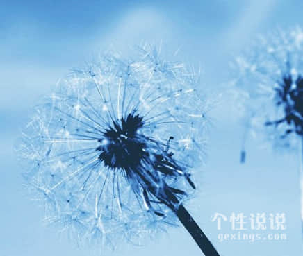 微信人生現(xiàn)實(shí)的經(jīng)典說(shuō)說(shuō)(50條) 微信人生現(xiàn)實(shí)的經(jīng)典說(shuō)說(shuō)(50條)