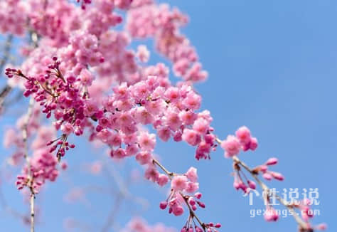 正能量有哲理的經(jīng)典說說（54條）