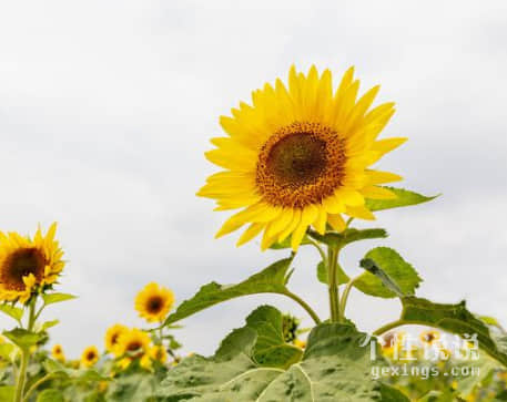 2019人生感悟的經(jīng)典說說（62條）