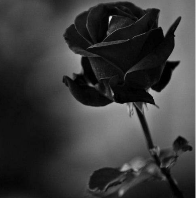 適合發(fā)朋友圈有內(nèi)涵有哲理的經(jīng)典說說（58句）