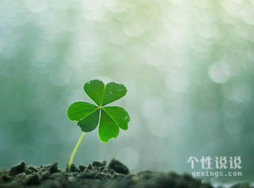 女生必看的成熟經(jīng)典說說（52條）