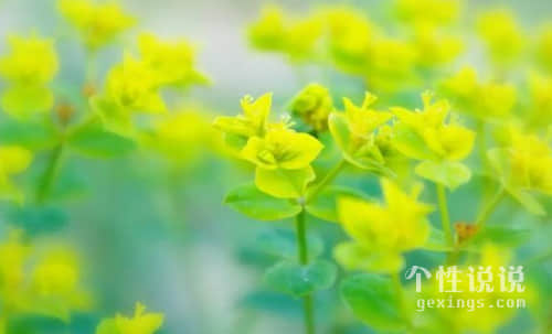 微信甜到心坎里520的經(jīng)典說說（44條）