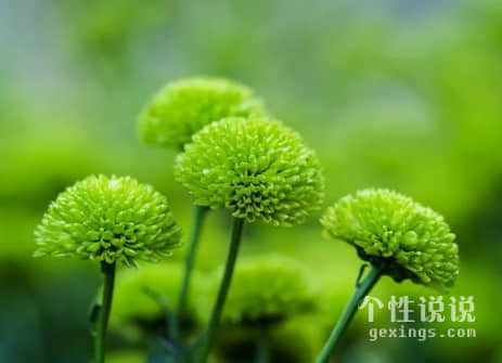 2019致自己的經(jīng)典說說（64條）